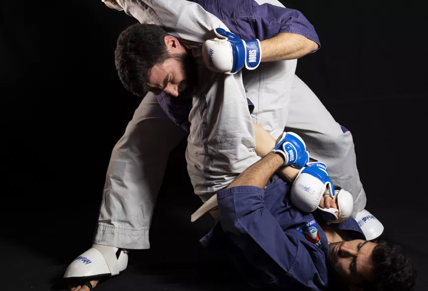 Yoseikan MMA
