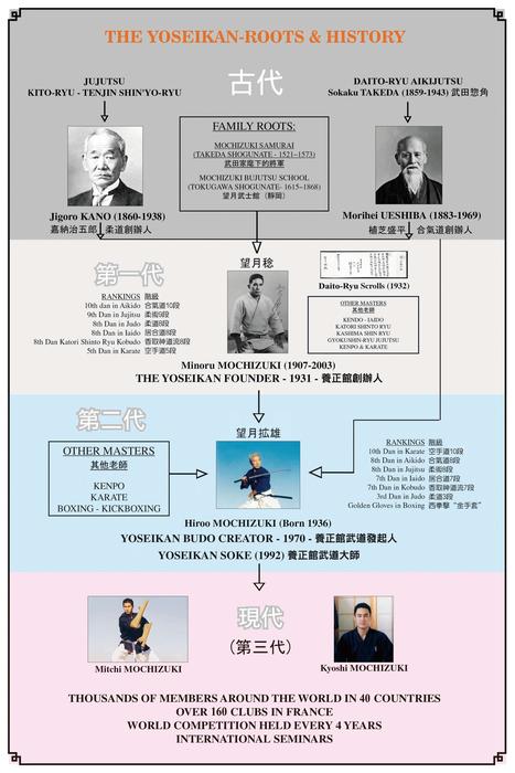 望月稔 養正館総合武道 第2巻 養正館実戦技法 DVD : 侍ショップ